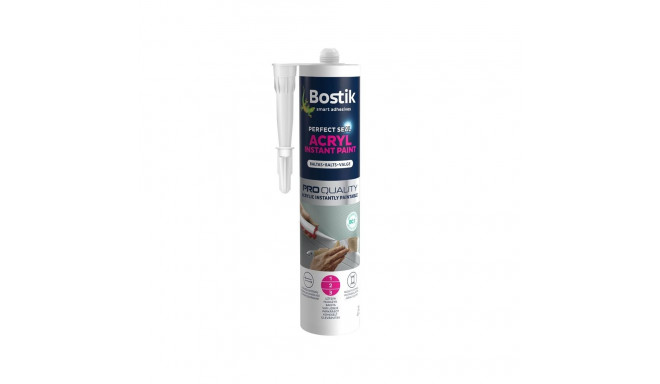 BOSTIK ACR INST PAINT 300ML VALGE 249 12