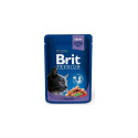 BRIT PREMIUM KATĖMS COD FISH 100G