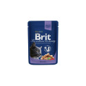 BRIT PREMIUM KATĖMS COD FISH 100G