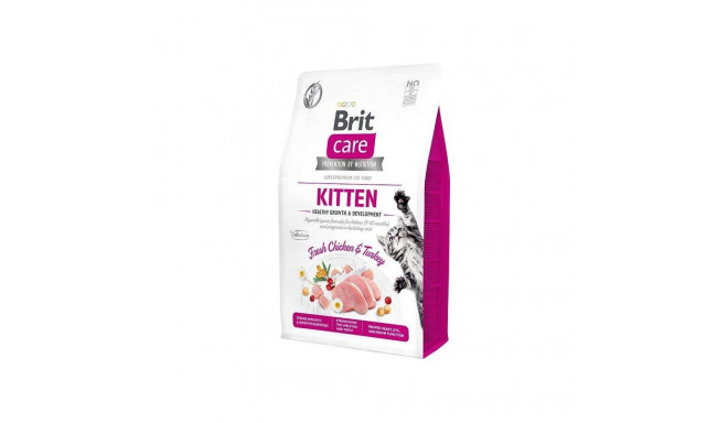 BRITCARE KITTEN HEALTHY GROWTH 2KG