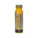 BANANA COLOUR SHADING PAINT BARLET 0.3