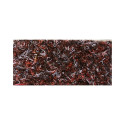 DOOR MAT GRASS750/143 45X68 BURGUND