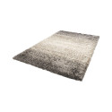 Domoletti vaip SKN/9938/X504/1.6x2.3