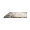 Domoletti vaip SKN/9938/X504/1.6x2.3