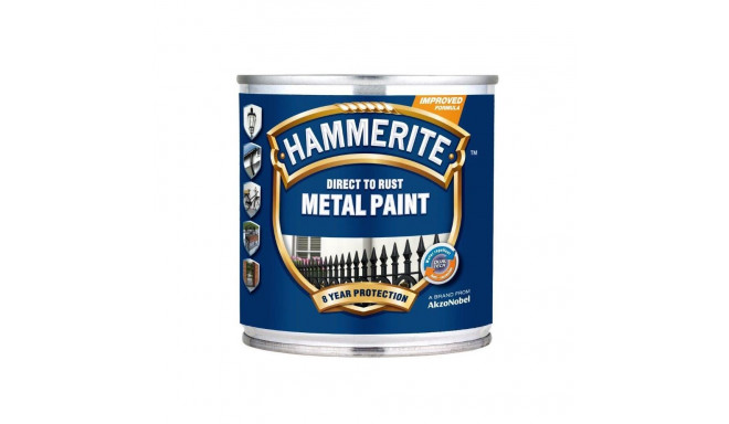 ANTICORROSIVE PAINT HAM.SMOOTH KULDNE 25