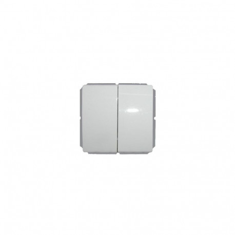 WHITE LX200 SWITCH P510-020-12 V