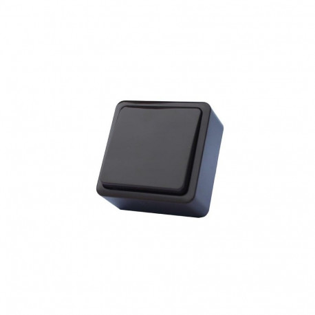 SWITCH P110-010V OV PLAST 1BUT ANTHR SL+