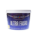 DISPERSE PAINT ULTRA FASAD 10 L