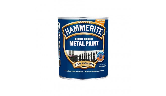 ANTICORROSIVE PAINT HAM.SMOOTH KULDNE 75