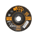 ABRASIVE FLAP DISC 125X22,23 MM FORTE T