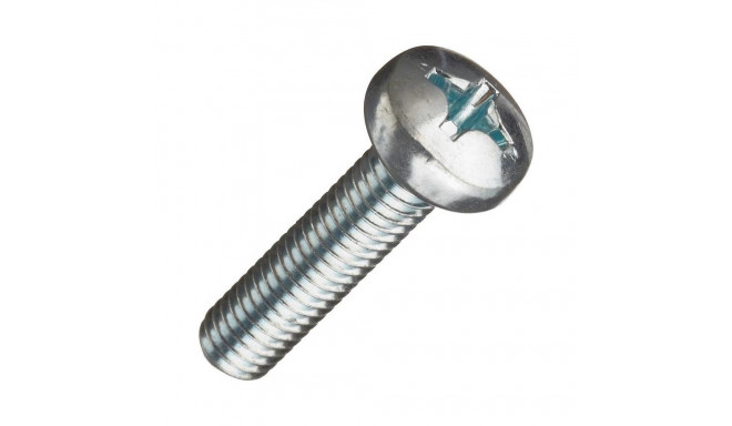 SCREWS PAN HEAD M6X30 ZN 20 PCS.