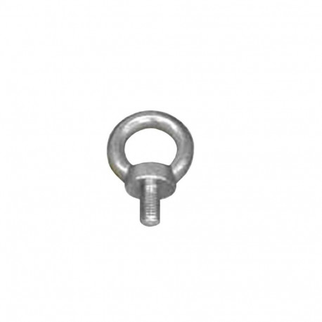 BOLT EYE DIN580 MA12 ZN 2 tk