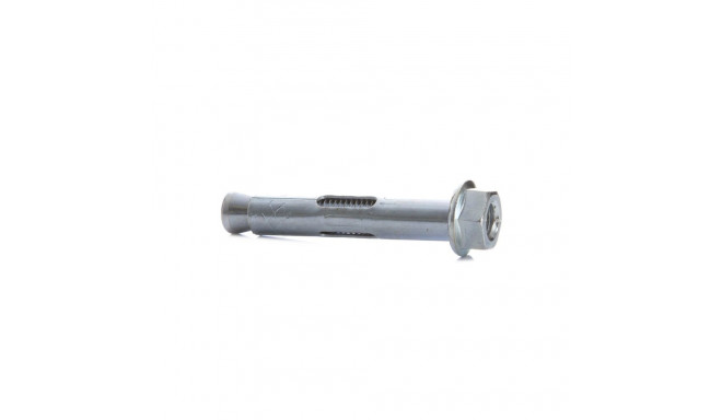 ANKURPOLT MUTRIGA B 10X60 MM 5 TK.