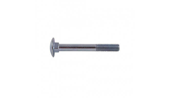 BOLT (DIN603 M6X70 ZN) 10PCS