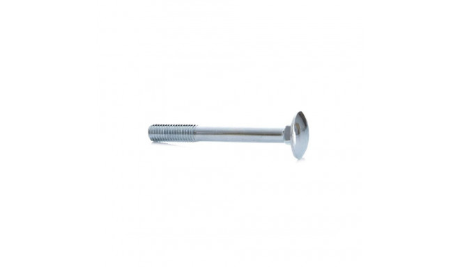 BOLT (DIN603 M8X70 ZN) 10 tk
