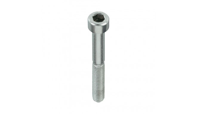 BOLT (DIN912 M5X30 ZN) 30 PCS