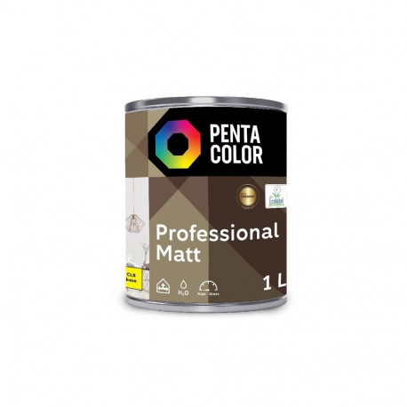 DISPERSION PAINT PROFESSIONAL MAT CLR B