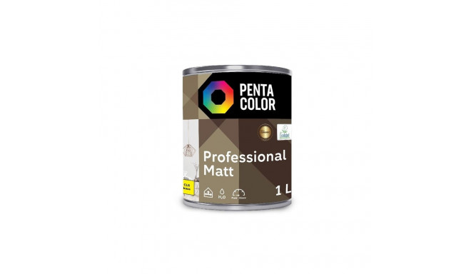 DISPERSION PAINT PROFESSIONAL MAT CLR B
