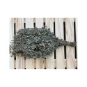 SAUNA WHISK OF HERBS MINT