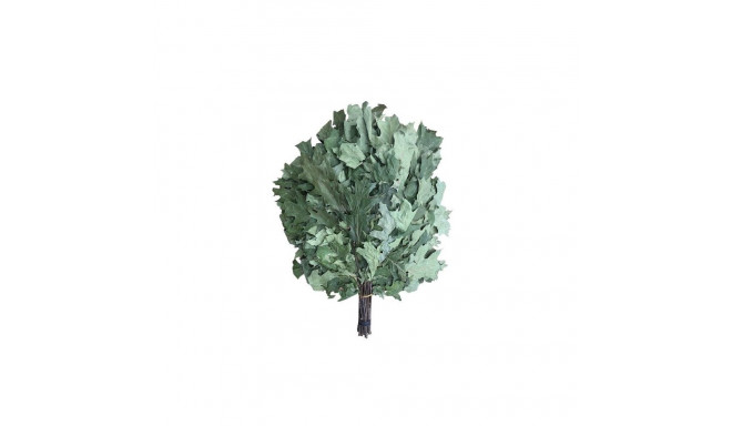 OAK-TREE komplekt CAN FLAMMIFERA