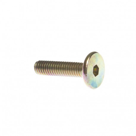 MÖÖBLIKRUVI M6X25 KOLLANE. 20 TK