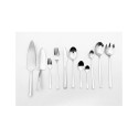 DINNER SPOON SET 2PCS