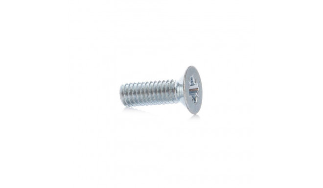 SCREWS COUNTERSUNK HEAD M4X30 ZN 40 PCS.