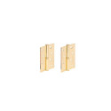 HINGE DOOR 100X75X2.5 PB BRASS-PLATE