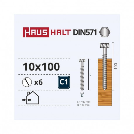 CHIPBOARD SCREW DIN571 10X100 MM 6 PCS