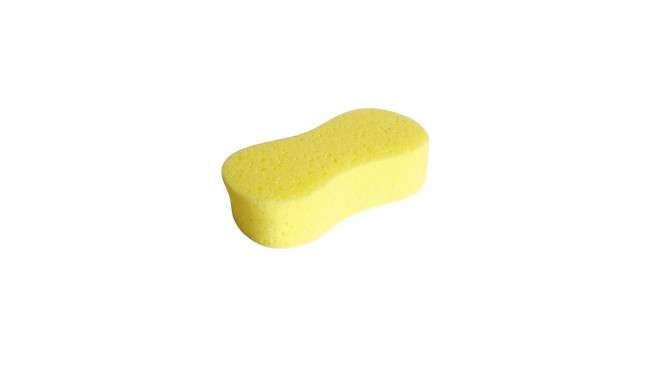 CAR SPONGE J011321