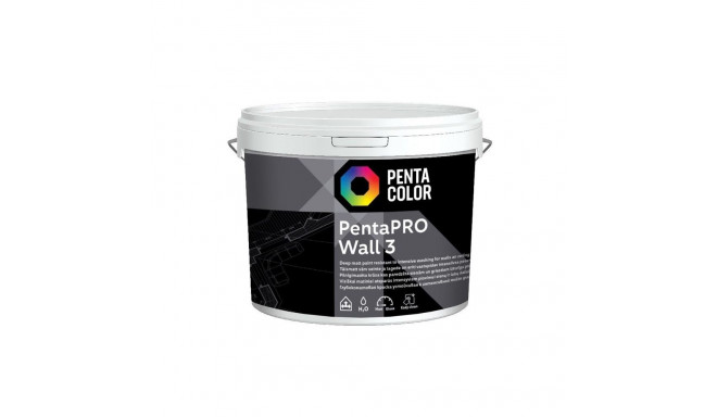 PAINT PENTACOLOR PENTAPRO MATT BALT 3L