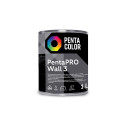 PAINT PENTACOLOR PENTAPRO MATT BALT 1L
