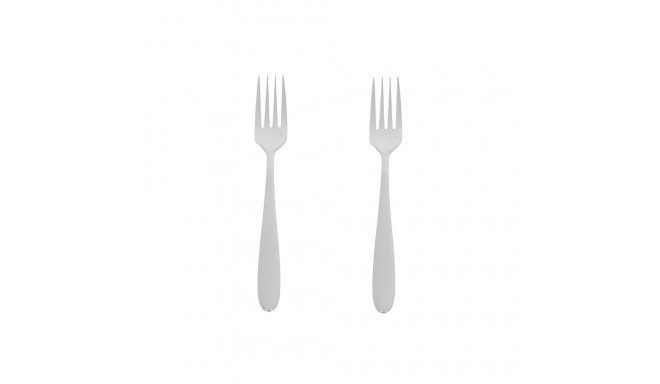 2PCS DINNER FORK SET