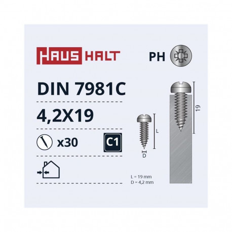 SELF SCREWS 4.2X19 DIN7981C ZN 30PCS
