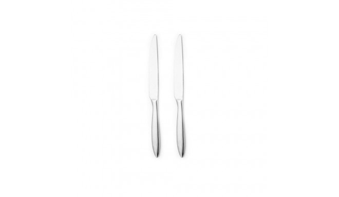 211381 ARDIS - 2PCS TABLE KNIFE