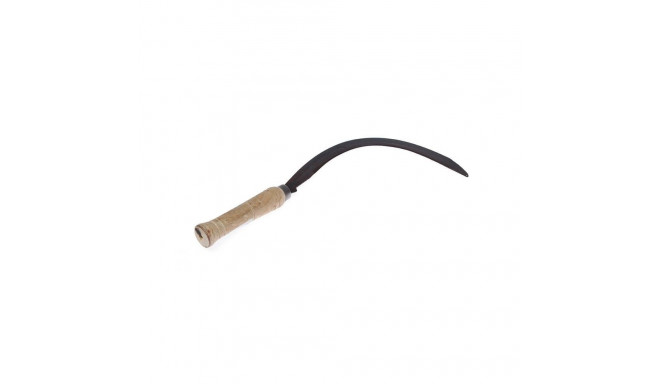 CICLE 45