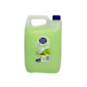 Vedelseep Apple with Glic 5L/5.17kg