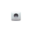 SOCKET SCHUKO WHITE PKL 16-010 LIREGUS