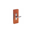 LATCH WITH POLISHED HANDLE