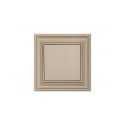 IJ1.10-005-01.R/ONC SWITCH IP44