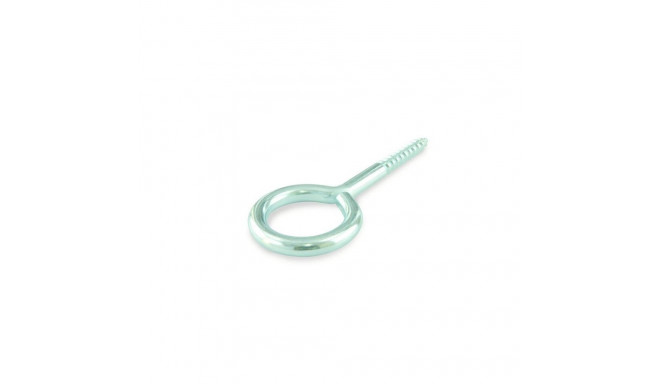 EYE SCREW 25X12X3,8X18 ZINC PLAT/ 5PCS