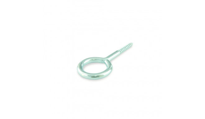 EYE SCREW 12X4X2,0X7 ZINC PLAT/ 12PCS