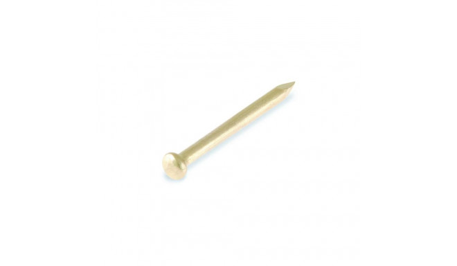 ROU.HEAD NAIL 2,0X25 BRASS/ 30GR