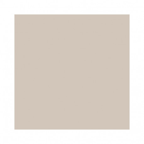 PAINT KITCHEN PERF kaneel 2L