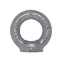 NUT EYE DIN582 M8 ZN(25)