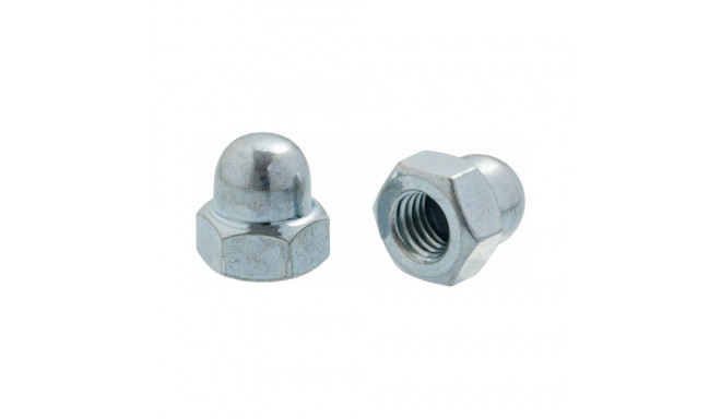 CLOSED NUTS DIN1587 M10 ZN(100)