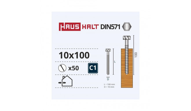 CHIPBOARD SCREW DIN571 10.0X100 WHIT ZN