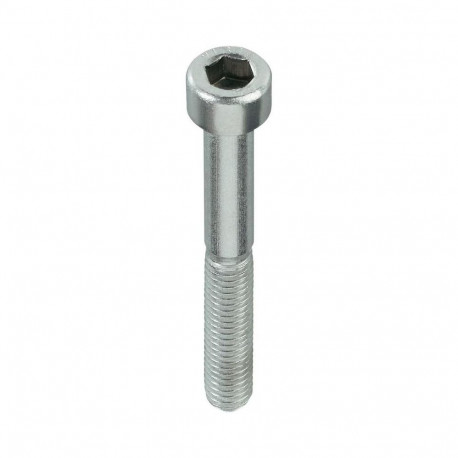 BOLT DIN912 M10X80 ZN (50)