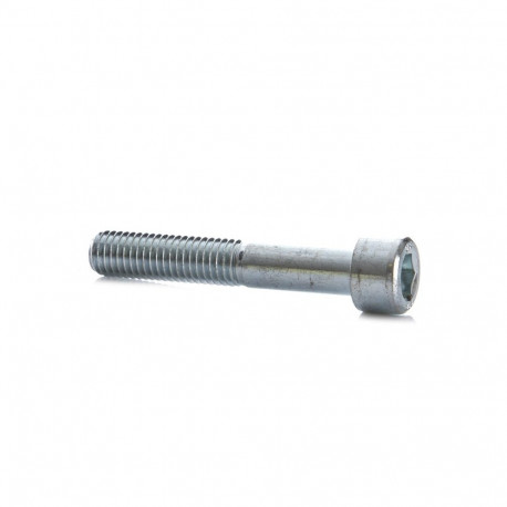 BOLT DIN912 M10X60 ZN (50)