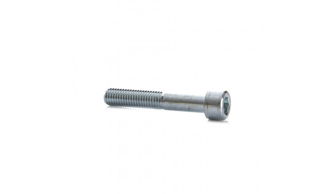 BOLT DIN912 M10X60 ZN (50)